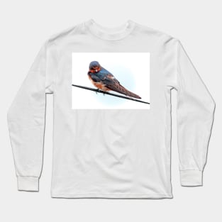 A Swallow Long Sleeve T-Shirt